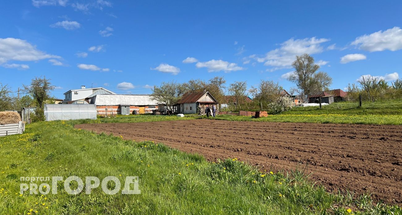 Этот простой трюк с крупой превратит почву в чернозем: дешево и эффективно, да еще и спасает от грызунов