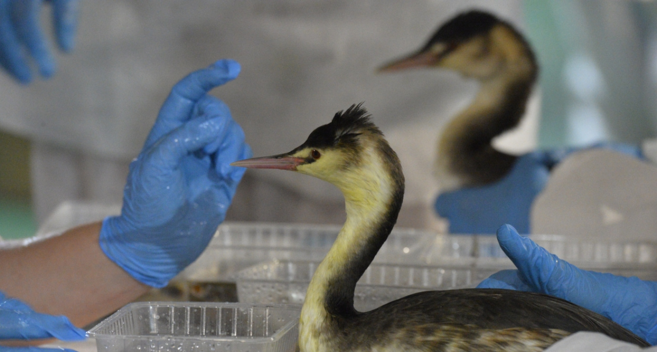 ВТБ и Фонд защитников природы создадут систему поддержки особо охраняемых природных территорий