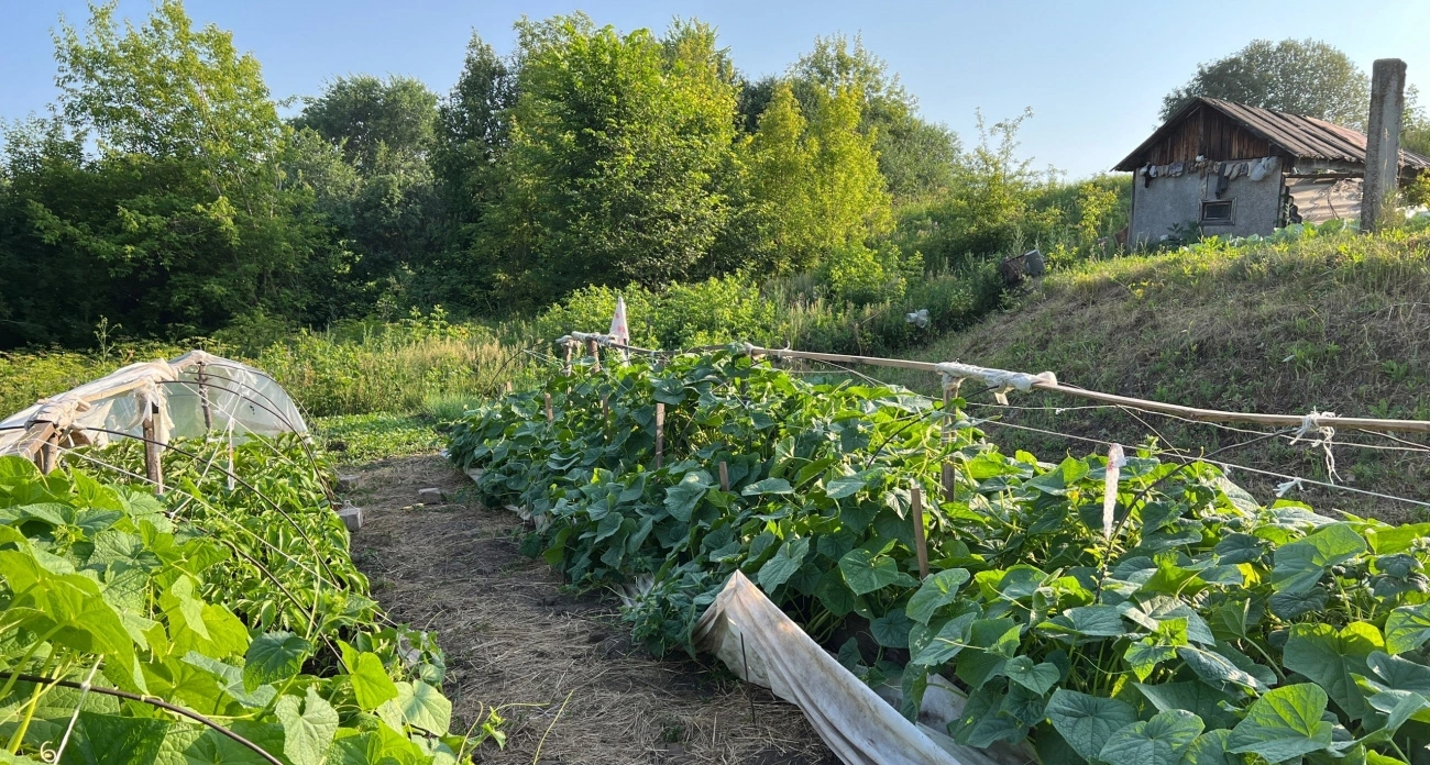 Нашел доступный способ, чем закрыть дорожки между грядок в огороде — и сорняки больше не растут