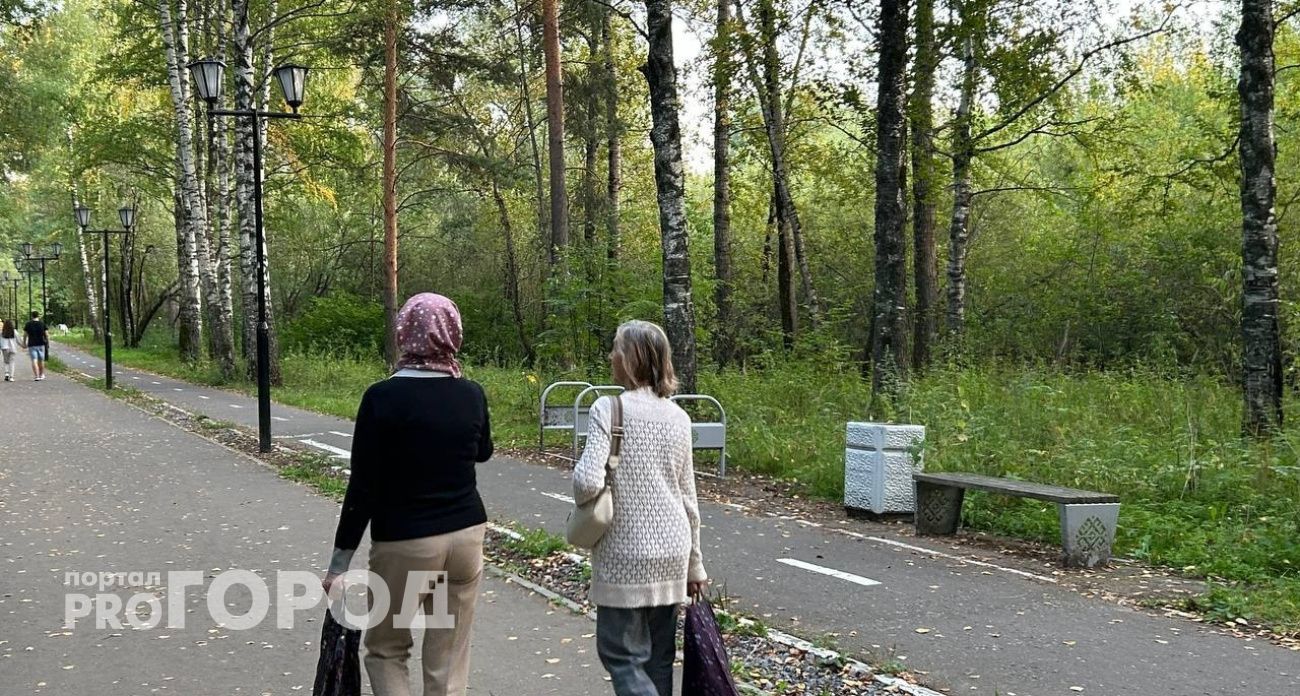 Крупные суммы придут на карты жителей Марий Эл