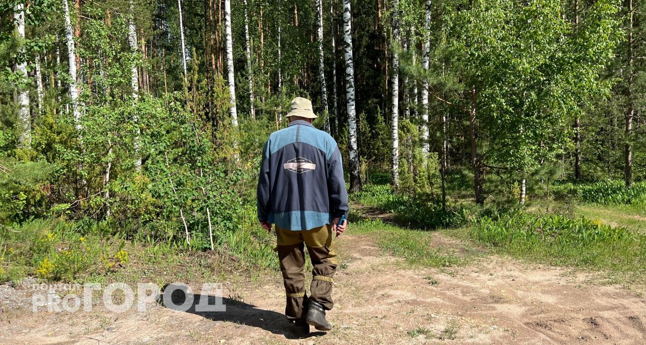 Житель Медведевского района вырубил сотню деревьев в родном лесу, чтобы построить дом