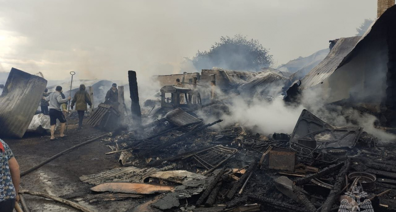 Два теленка, две свиньи и десять кур сгорели заживо в Моркинском районе