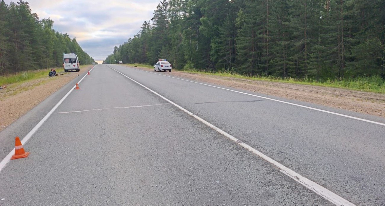Девушку сбили насмерть на дороге в Звениговском районе