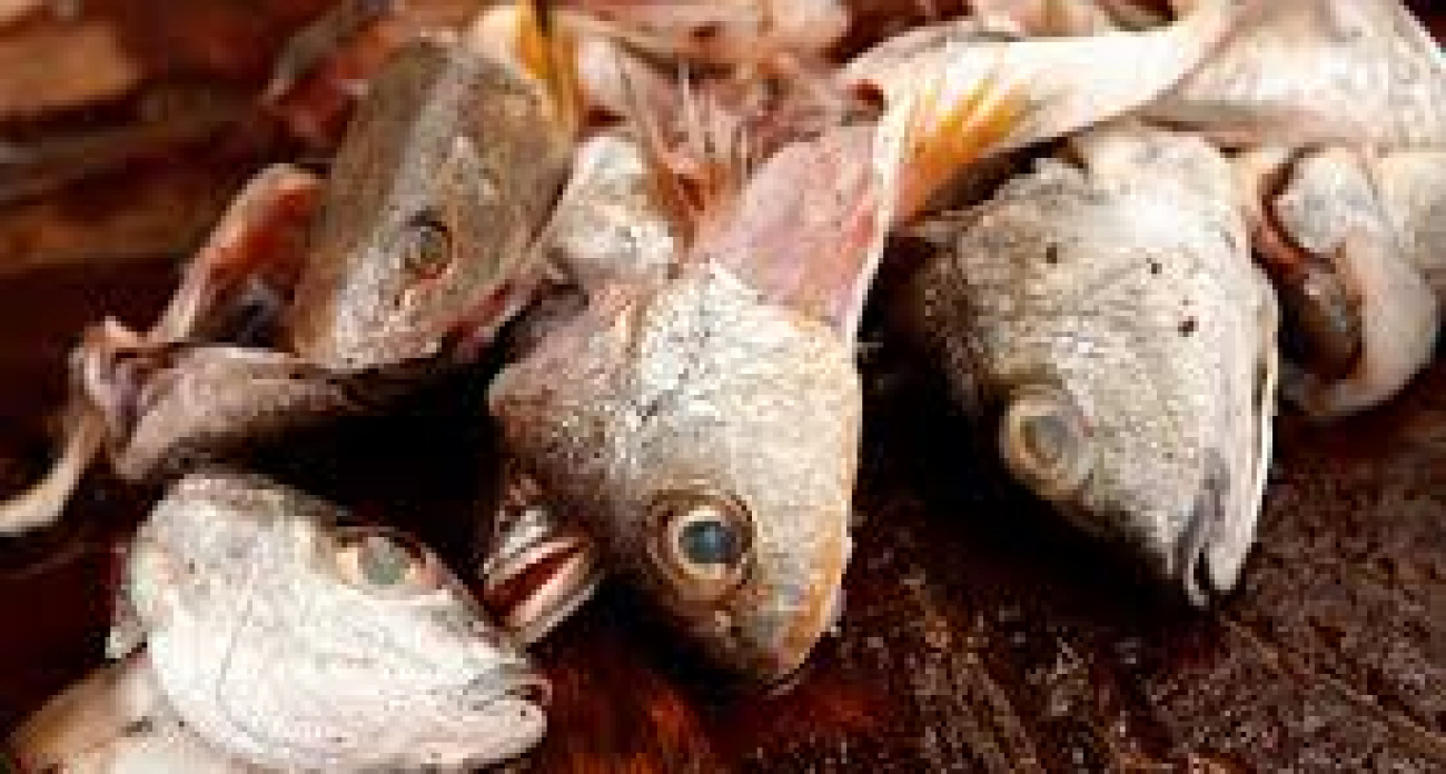 Рыбные обрезки храню как зеницу ока: этот гениальный рецепт поразит даже гурманов