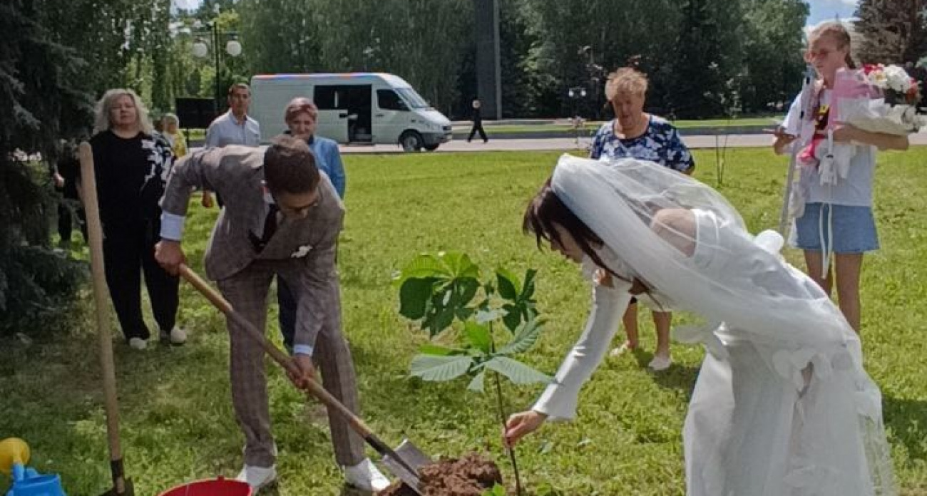 В Йошкар-Оле в Центральном парке молодожены посадили каштан: вспомнили первое свидание 