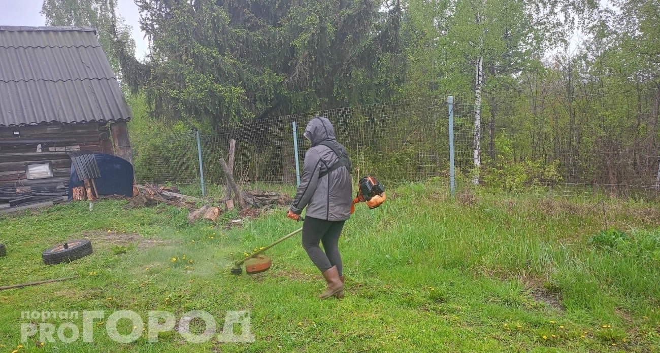 Дачник подсказал простой трюк с триммером: косит намного быстрее, и леска перестала рваться