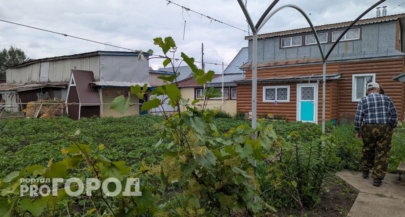 Простой овощ уничтожит мучнистую росу навсегда: секретный рецепт от опытных огородников