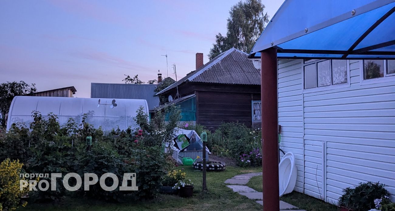 За сорняки и мусор будут отбирать участки: новые жесткие правила вводят для дачников с 1 сентября