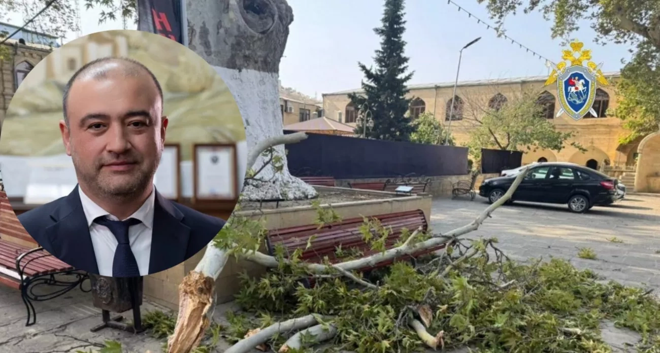 Глава Дербента прокомментировал гибель под деревом и школа полыхнула в Мари-Турекском районе: главные новости за 4 августа в Йошкар-Оле