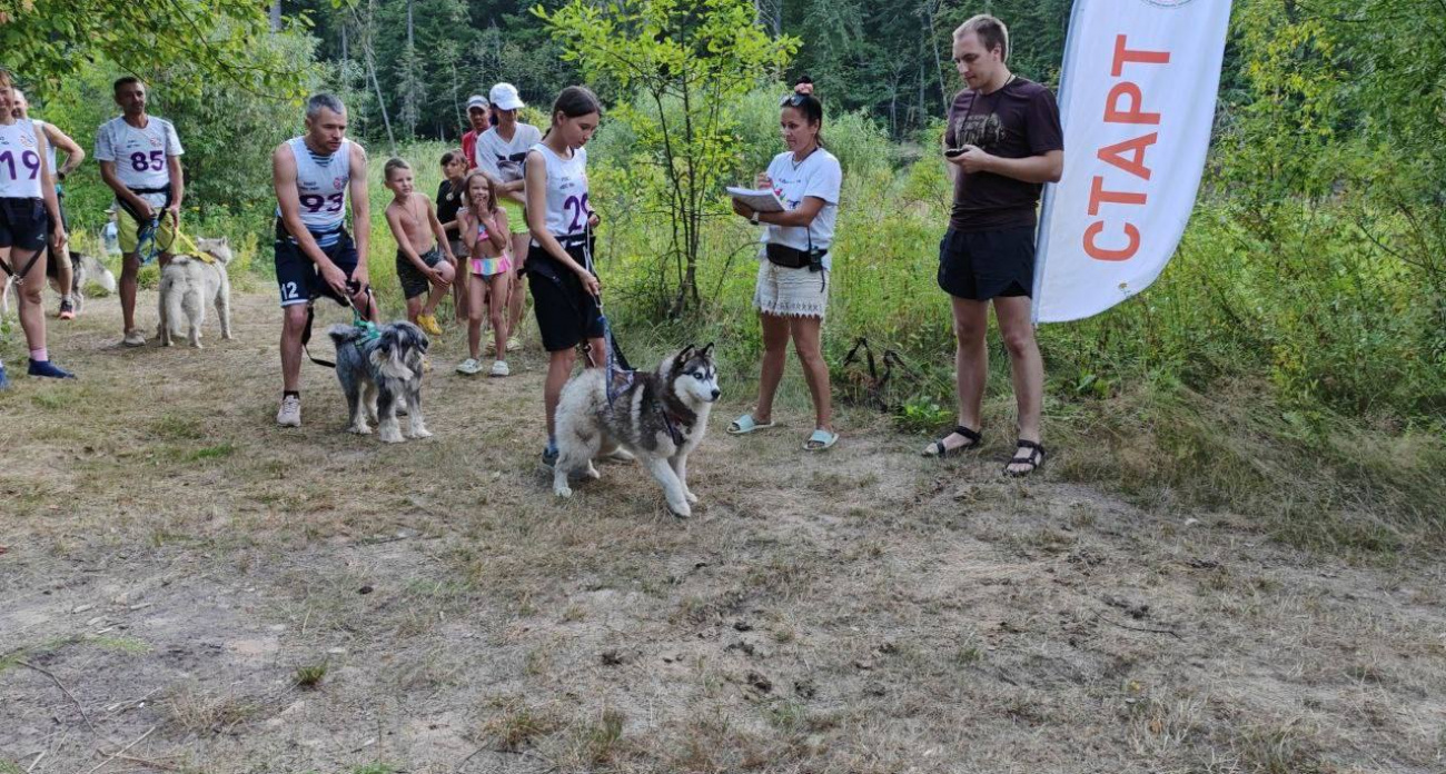 Йошкаролинка создала единственный в России бесплатный каюрский лагерь: привозят собак со всей страны