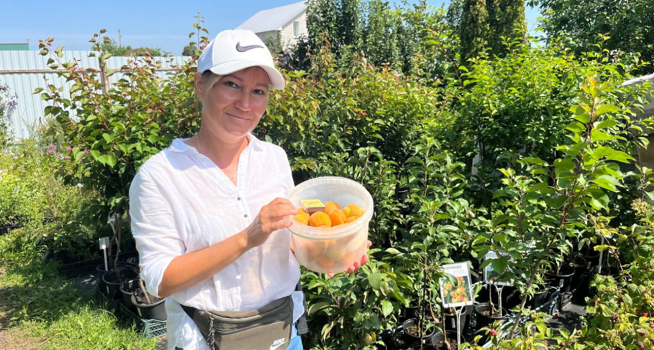 Земляника Йошкаролинка и жимолость Иолинка: садоводы из Марий Эл 15 лет выводят новые сорта ягод