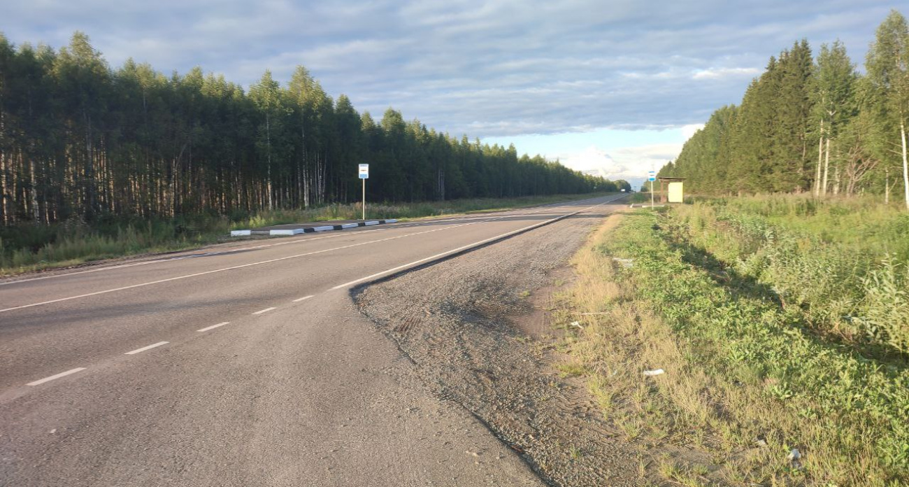 Грозы и дожди придут в Марий Эл в понедельник