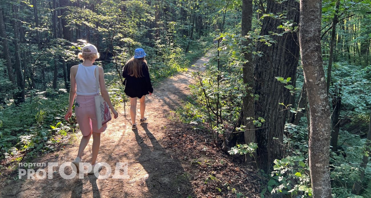 Прогулка по марийским лесам закончилась смертельно опасной инфекцией для трех детей