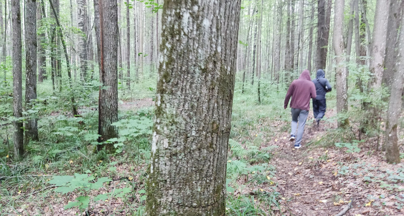 Об этом вкусном и часто встречающемся грибе никто не знает: опытные грибники загребают целые ведра таких