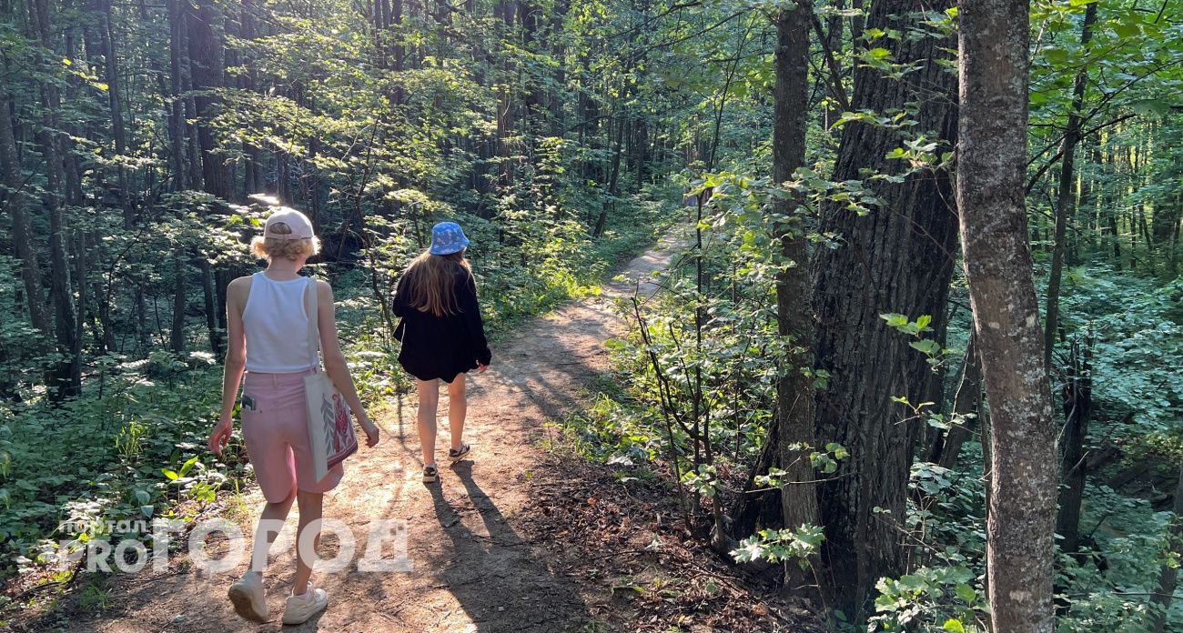 Главная примета грибников 2025: случится большая беда, об этом знали еще наши предки