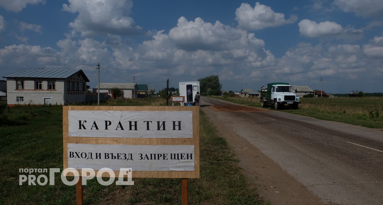 Россельхознадзор вводит карантин из-за опасного сорняка в Марий Эл