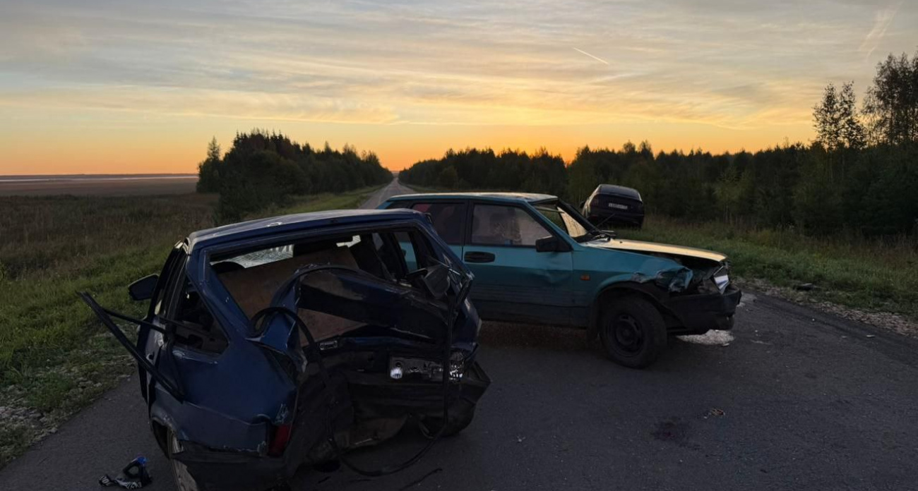 В Сернурском районе 17-летняя девушка погибла в ДТП