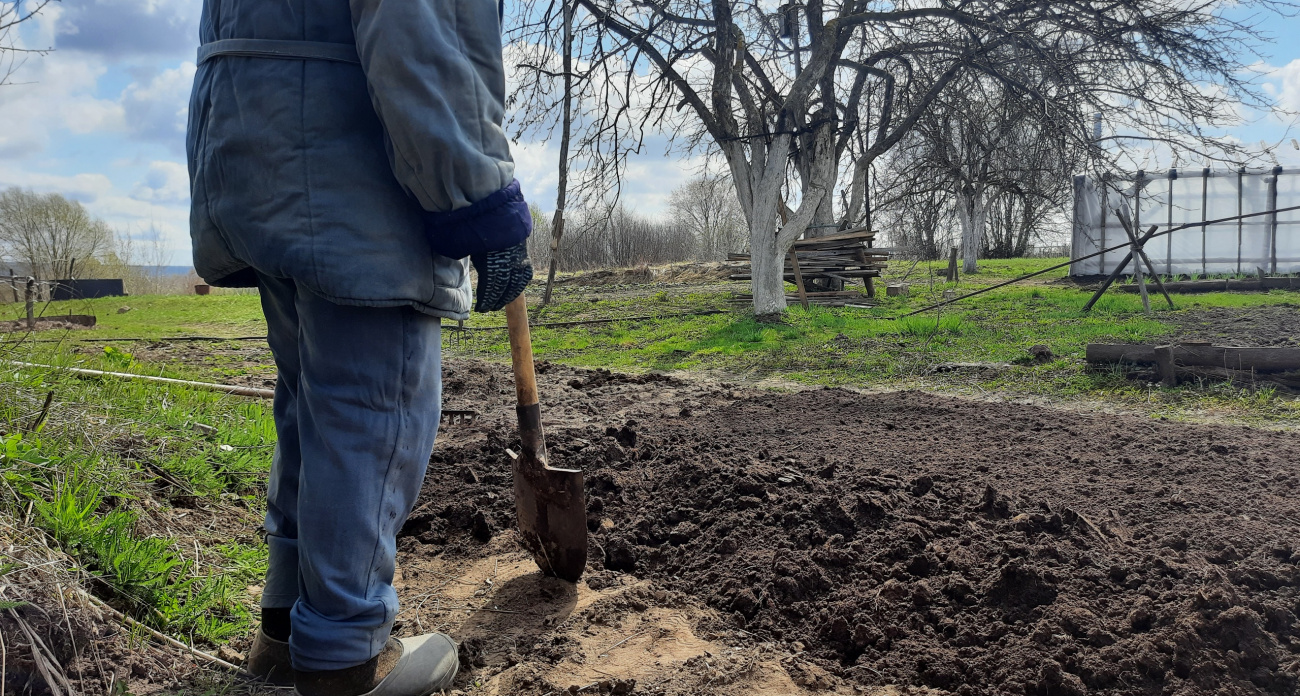 Сентябрьская подготовка почвы для будущего урожая