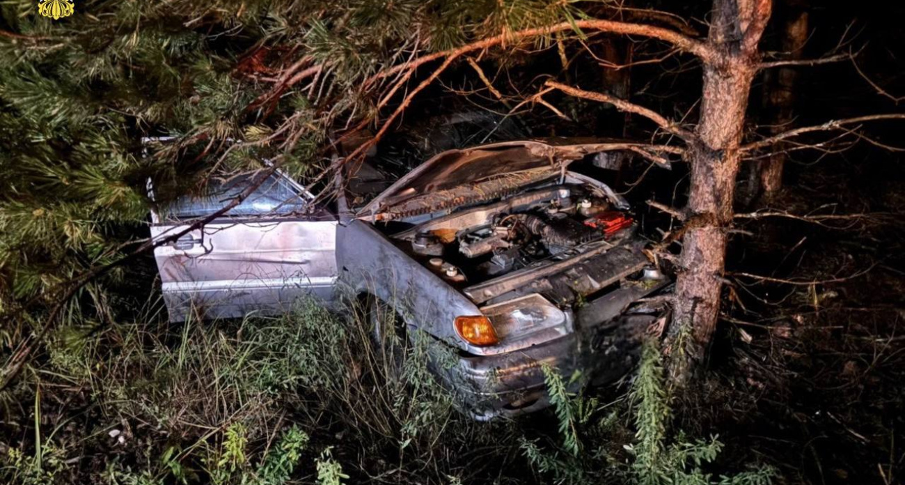 ВАЗ с подростком и двумя взрослыми протаранил дерево в Звениговском районе