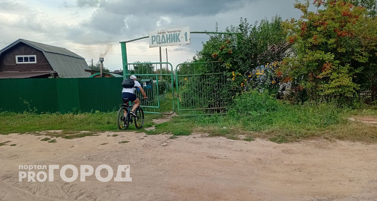 Новые законы о запрете строек начали работать в России