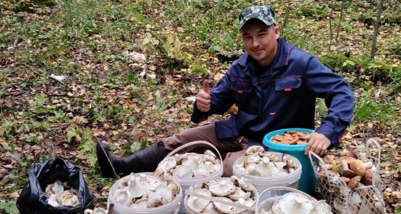 Грибной бум в Марий Эл: 20 ведер за три часа и белый гигант весом в полкило