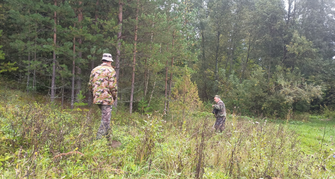 Редчайшее растение из Красной книги возродили в Марий Эл
