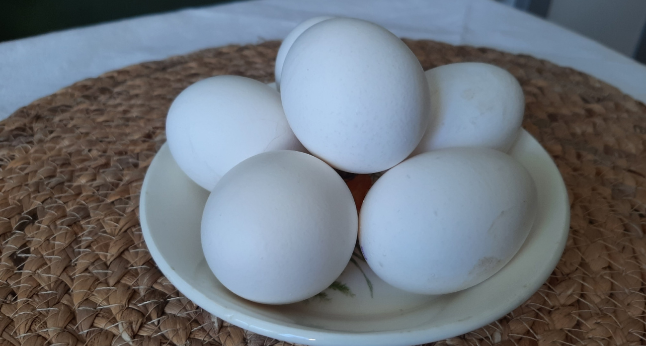 Вот почему нужно обязательно мыть яйца перед готовкой
