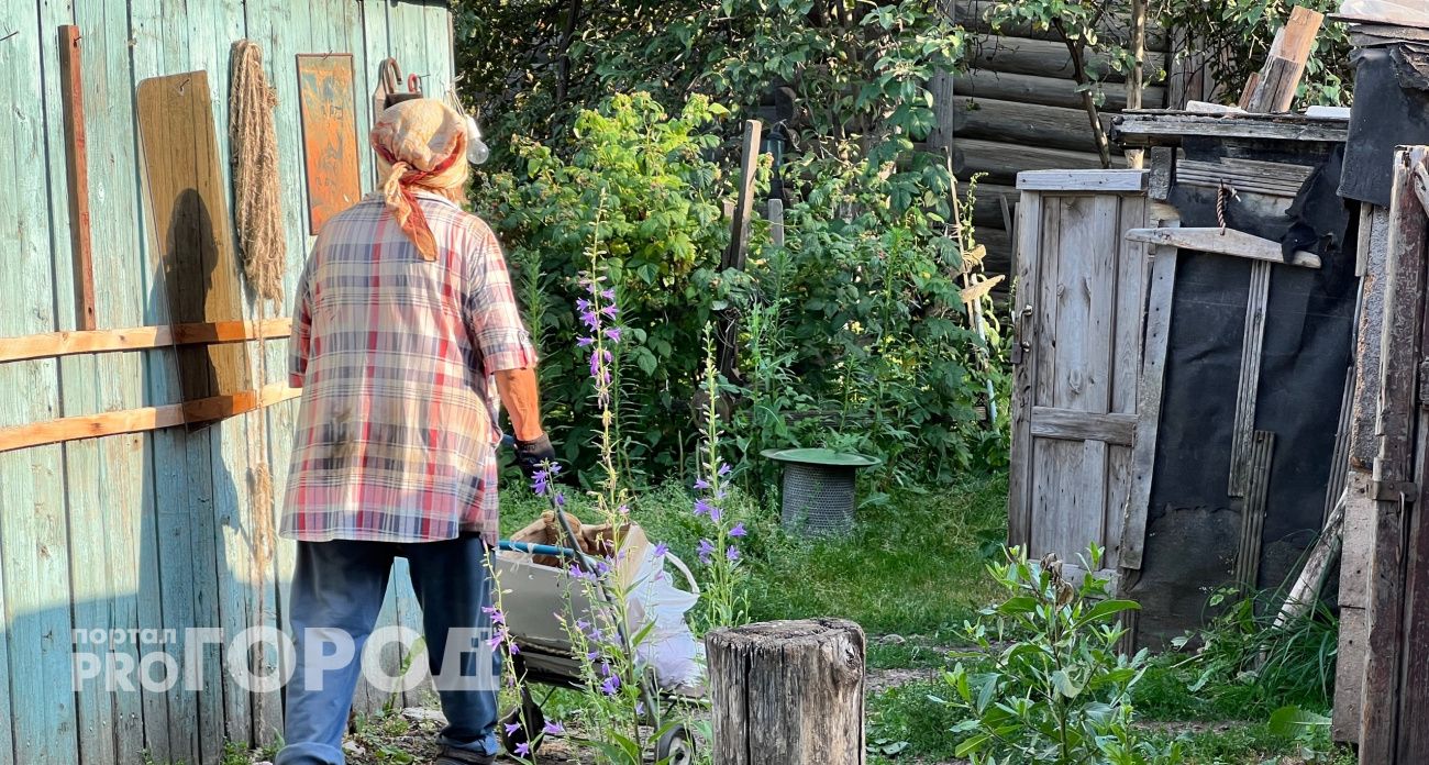 Обработала сад осенью этим - весной проблем не знаю: опытные дачники поделились простым секретом