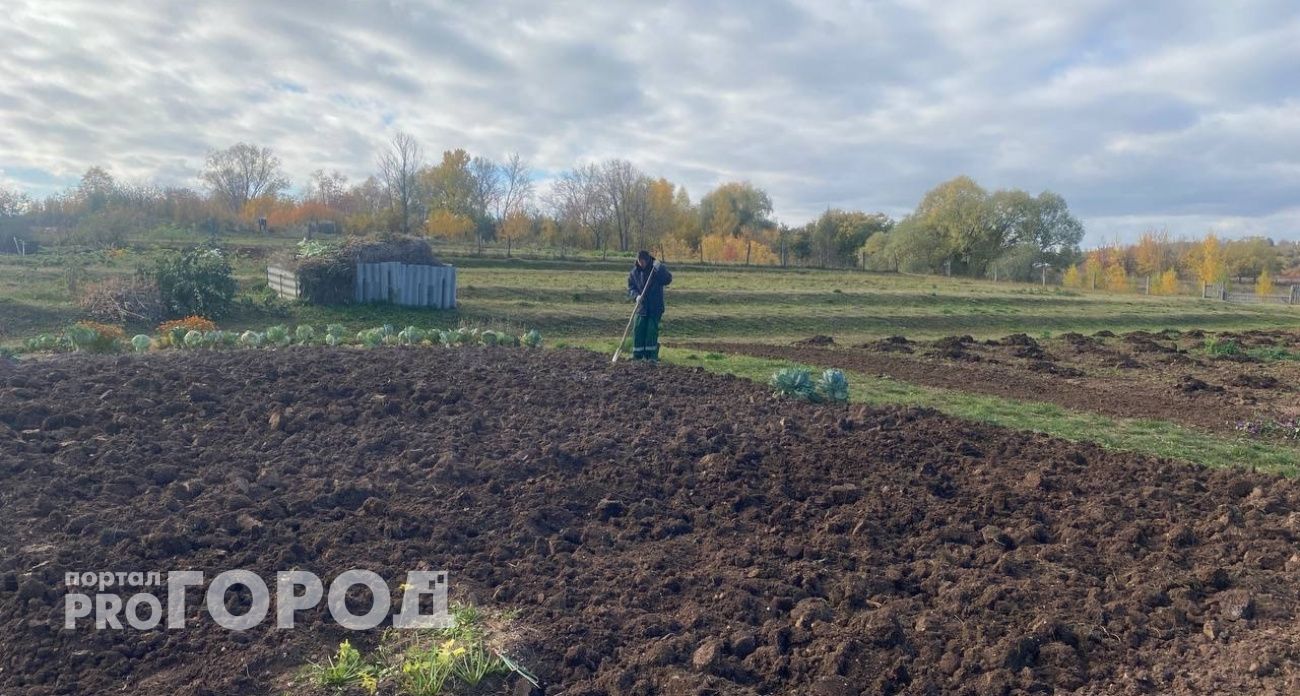 В сентябре строго запрещено делать это в огороде: рискуете потерять весь будущий урожай