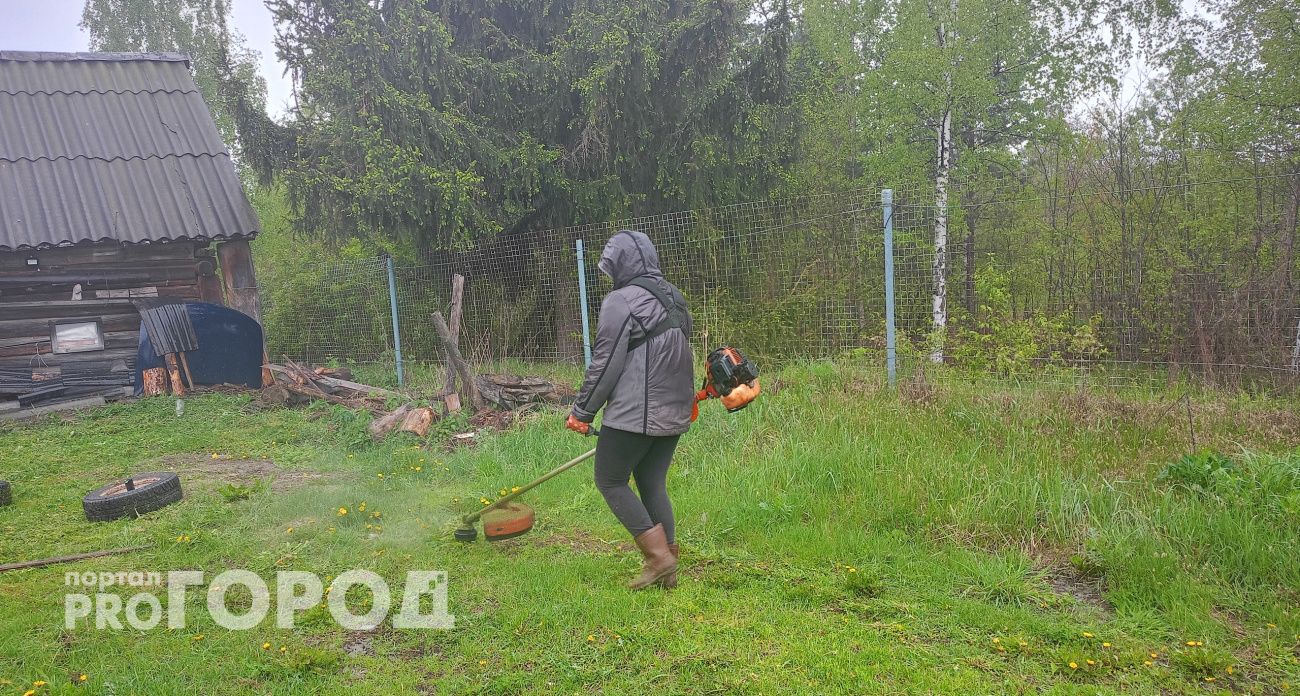 Успейте до снега: что нужно сделать с почвой в саду, чтобы на следующий год собирать богатый урожай