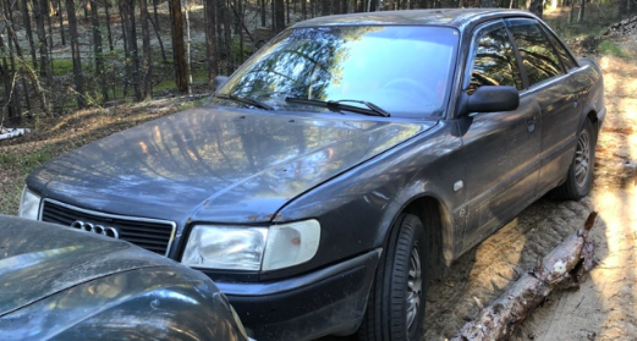 Нарушители на машине заехали в заповедный марийский лес