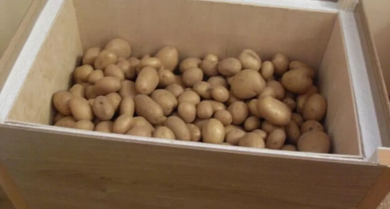 Как сохранить свежесть картофеля и свеклы без погреба