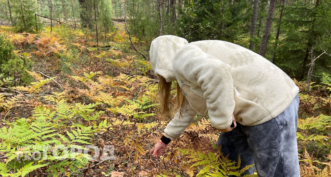 Об опасной погоде предупредили жителей Марий Эл: в леса лучше не ездить