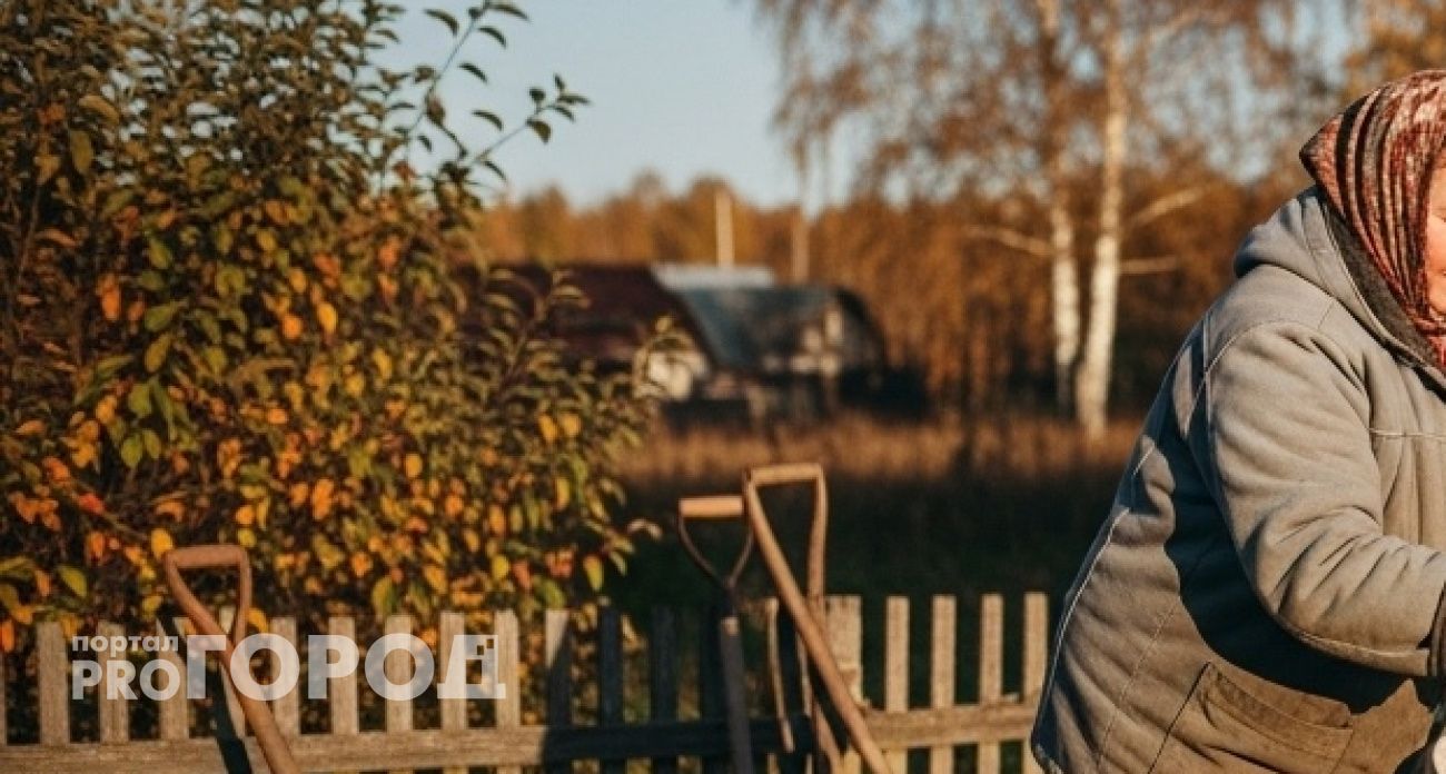 Когда раскидывать доломитовую муку, чтобы на картошке не было проволочника