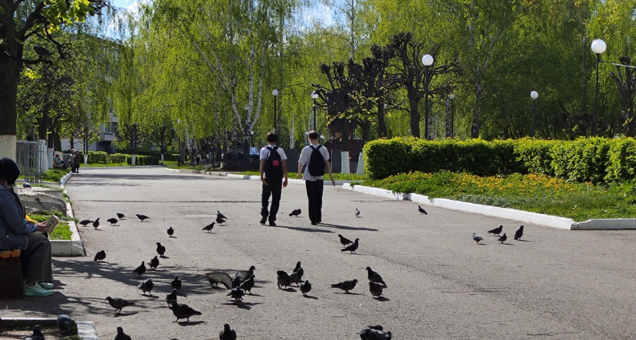 Минпросвещения заявило о снижении образовательной нагрузки на школьников