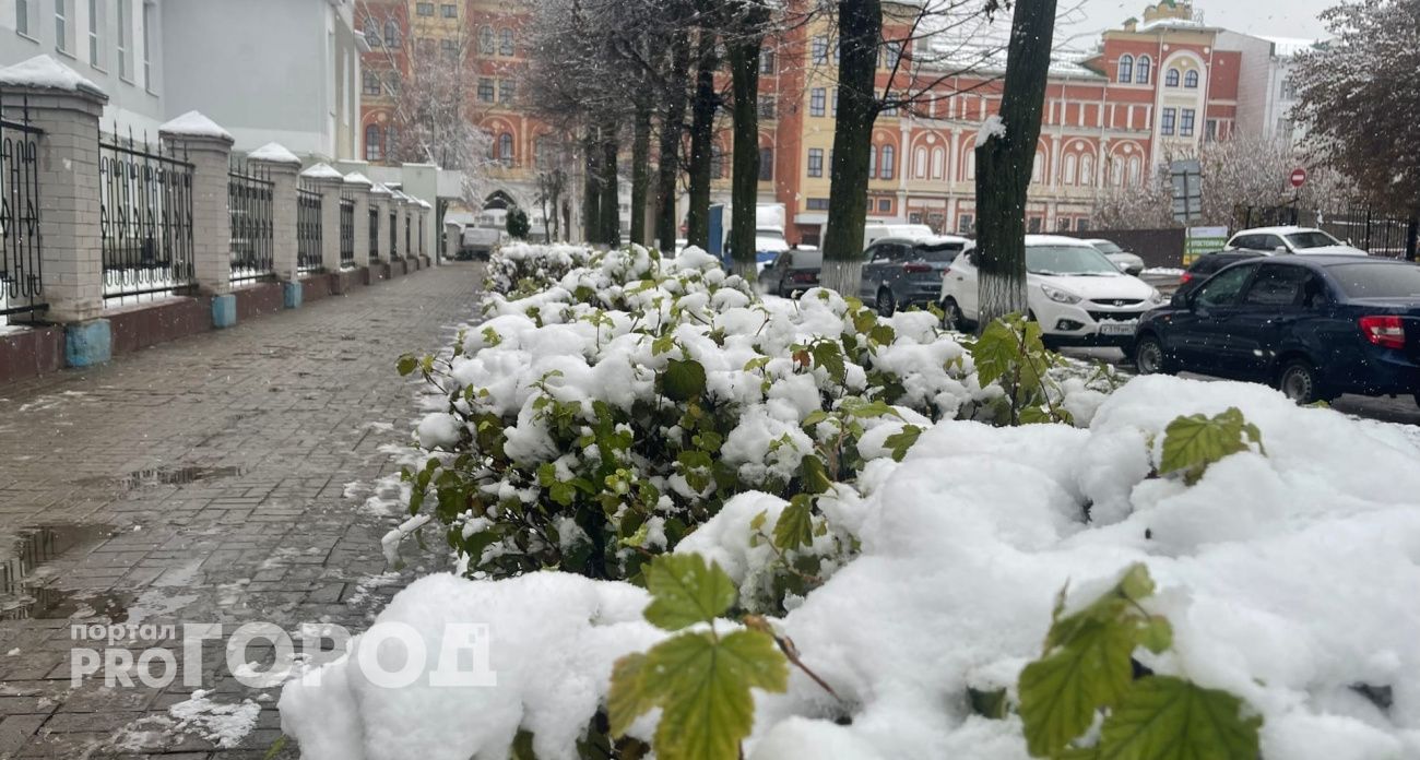 Заморозки и снег скуют Центральную Россию раньше обычного: синоптики назвали точную дату