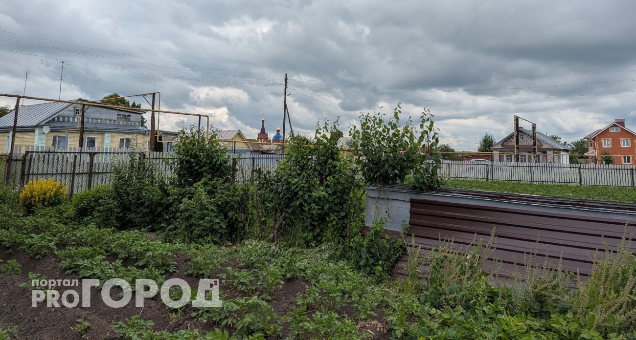 Вместо нескольких тонн навоза: как восстановить почву в огороде осенью