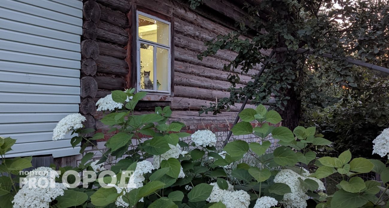 Утеплили полы в доме за 2 часа, не потратив ни копейки: не мерзнем даже в -30