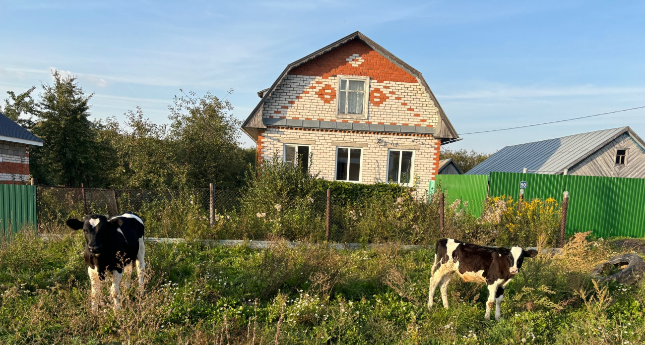 Как и чем лучше утеплить полы в доме, чтобы не тратить много денег