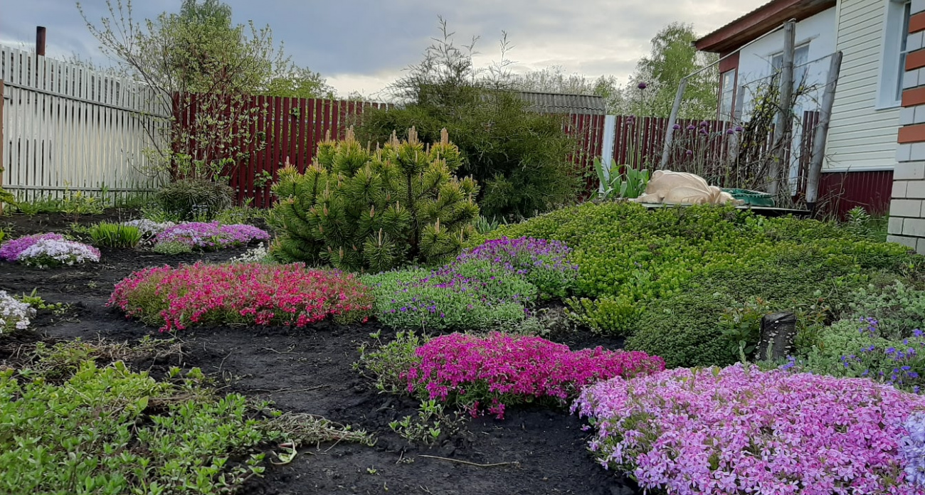 Какие огородные дела лучше не делать осенью
