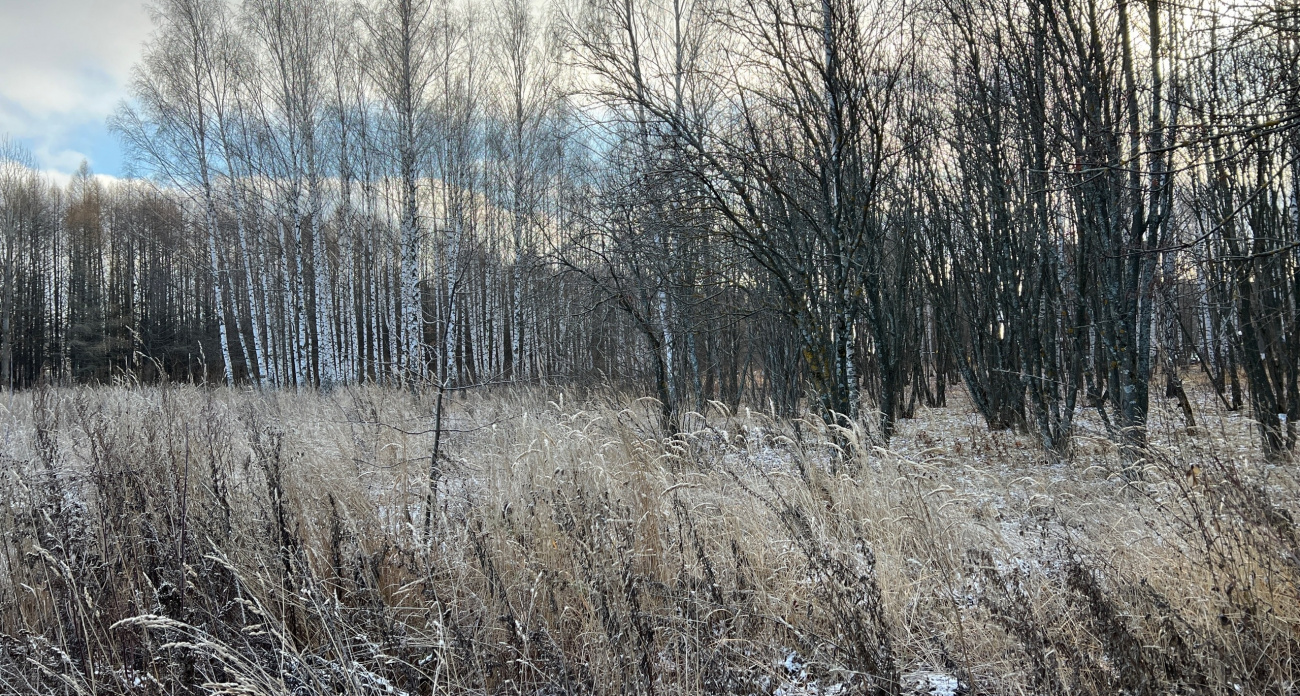 Вильфанд предупредил о новых заморозках