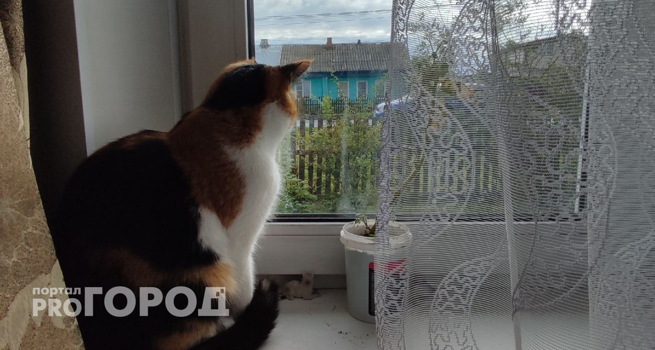 "Старое" бабье лето отменяется: этой осенью россиян ждет сплошное похолодание