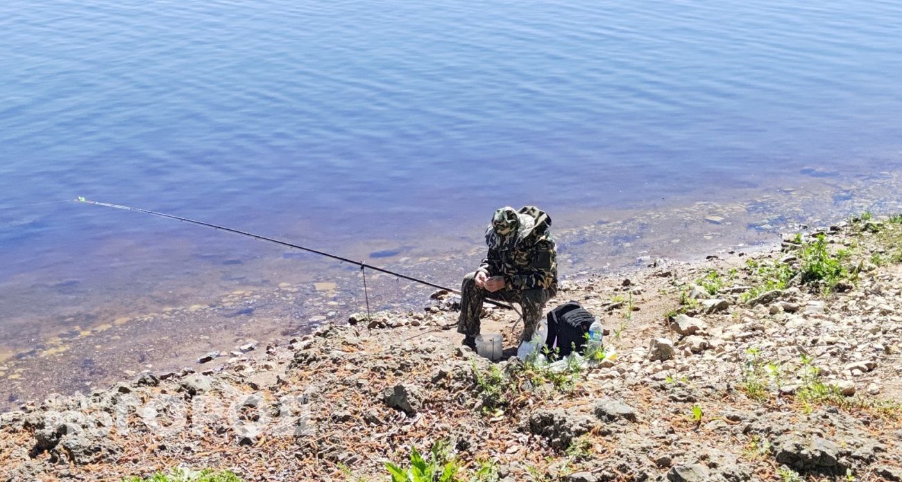 Форель планируют разводить на одной из рек Моркинского района