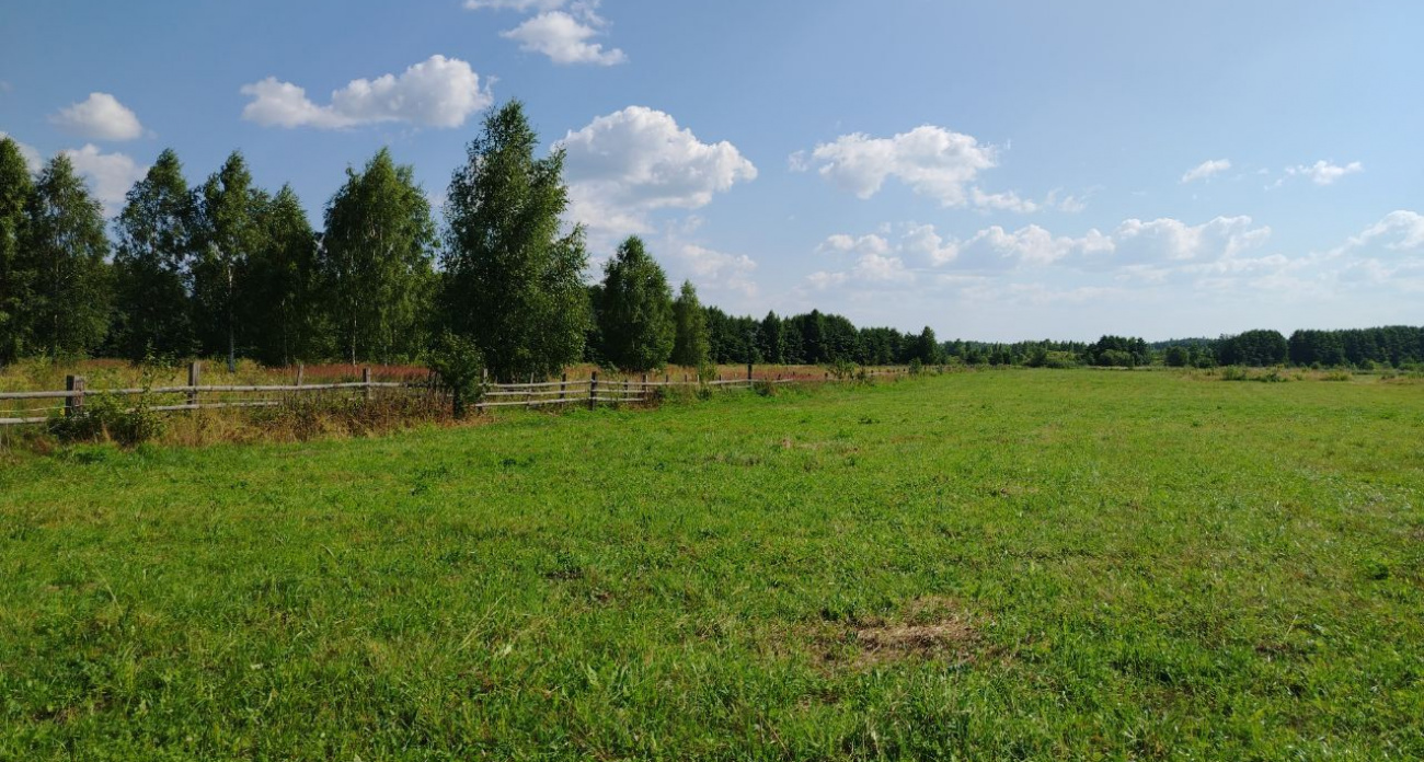 В Марий Эл на улице потеплеет до +16 градусов