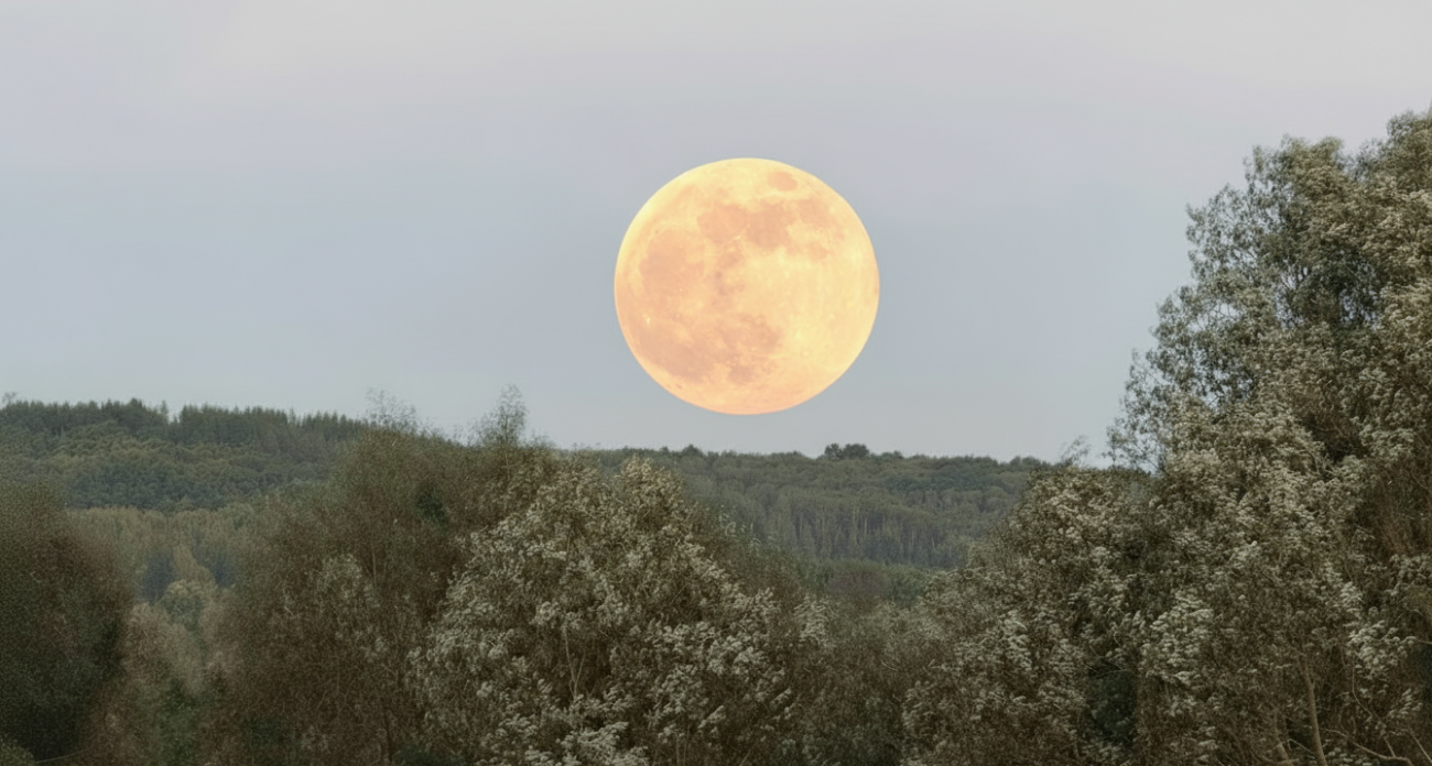 Самое красивое полнолуние года увидят жители Марий Эл