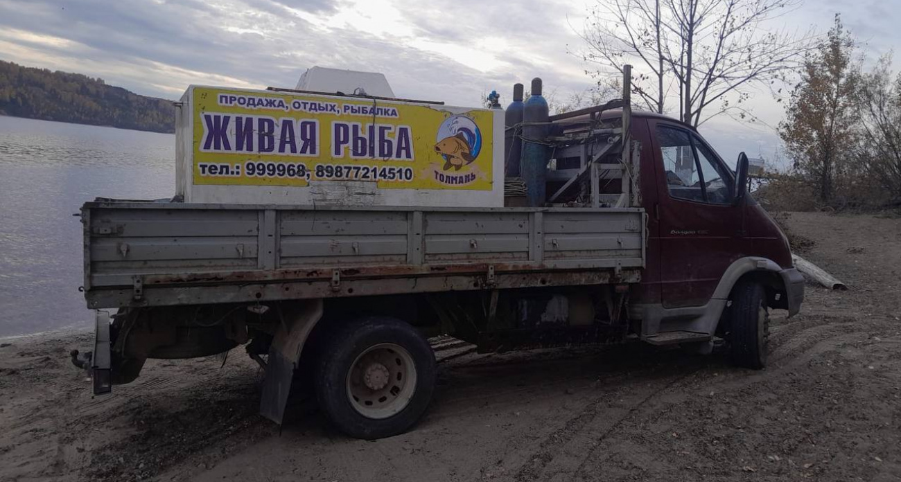 В Марий Эл начали зарыбление Волги