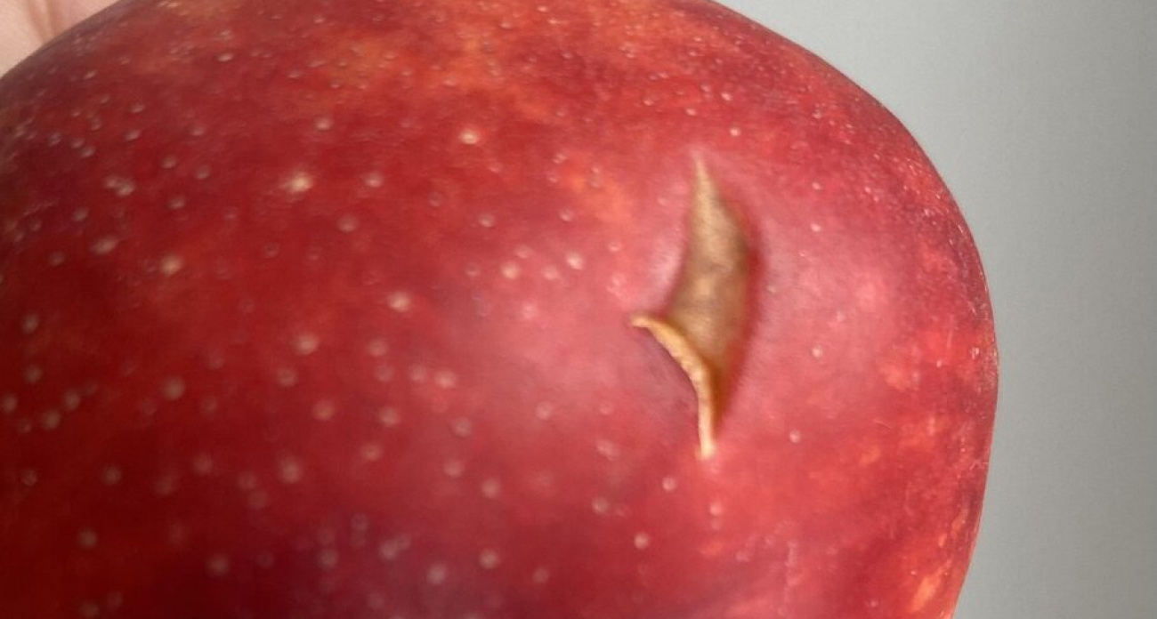 Никогда не берите в магазине такие овощи и фрукты: вот что значат эти следы на кожуре