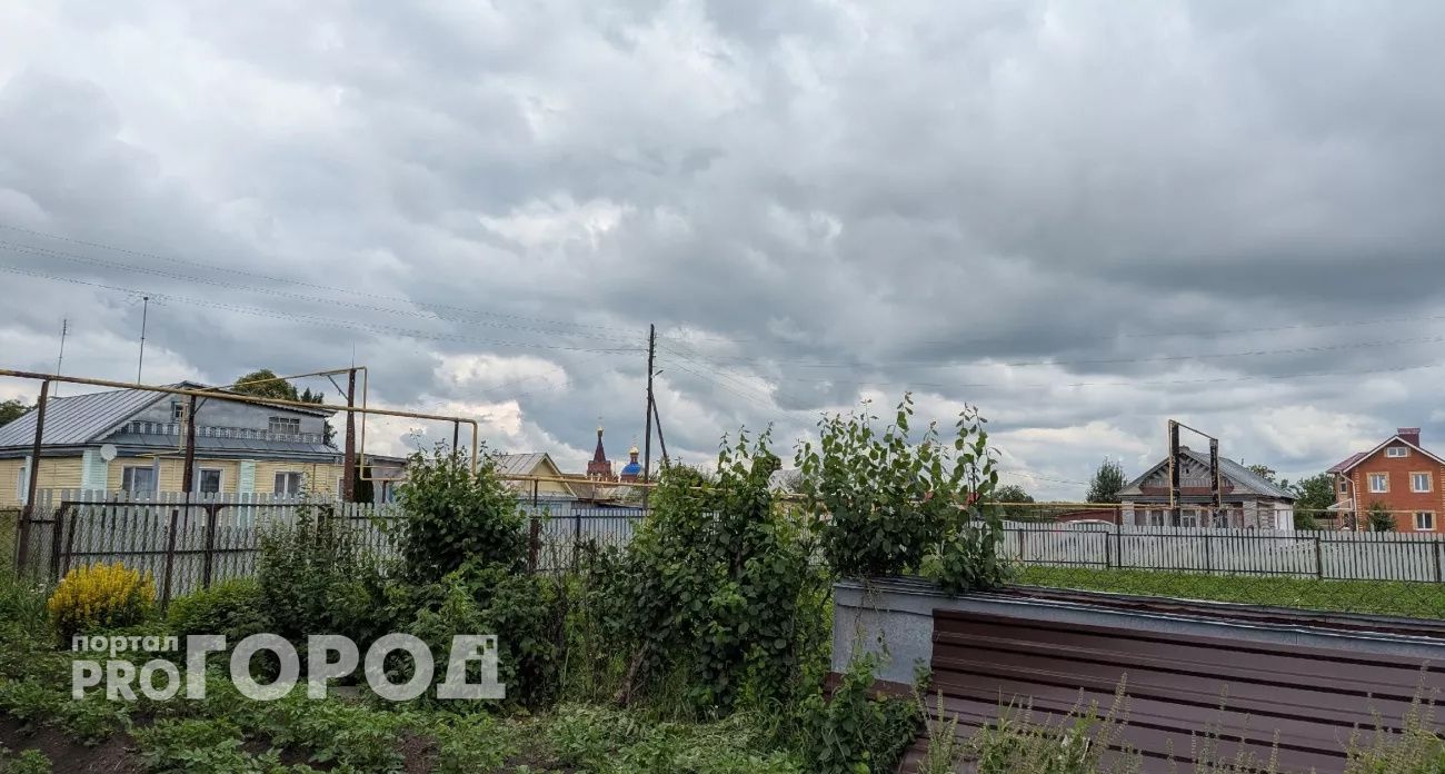 Выгребную яму не чищу: сосед подсказал простой способ - работает годами