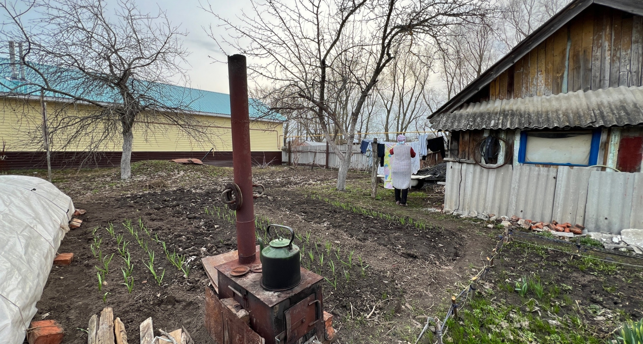 Попробовала обработать огород от вредителей осенью, а не летом – делюсь опытом