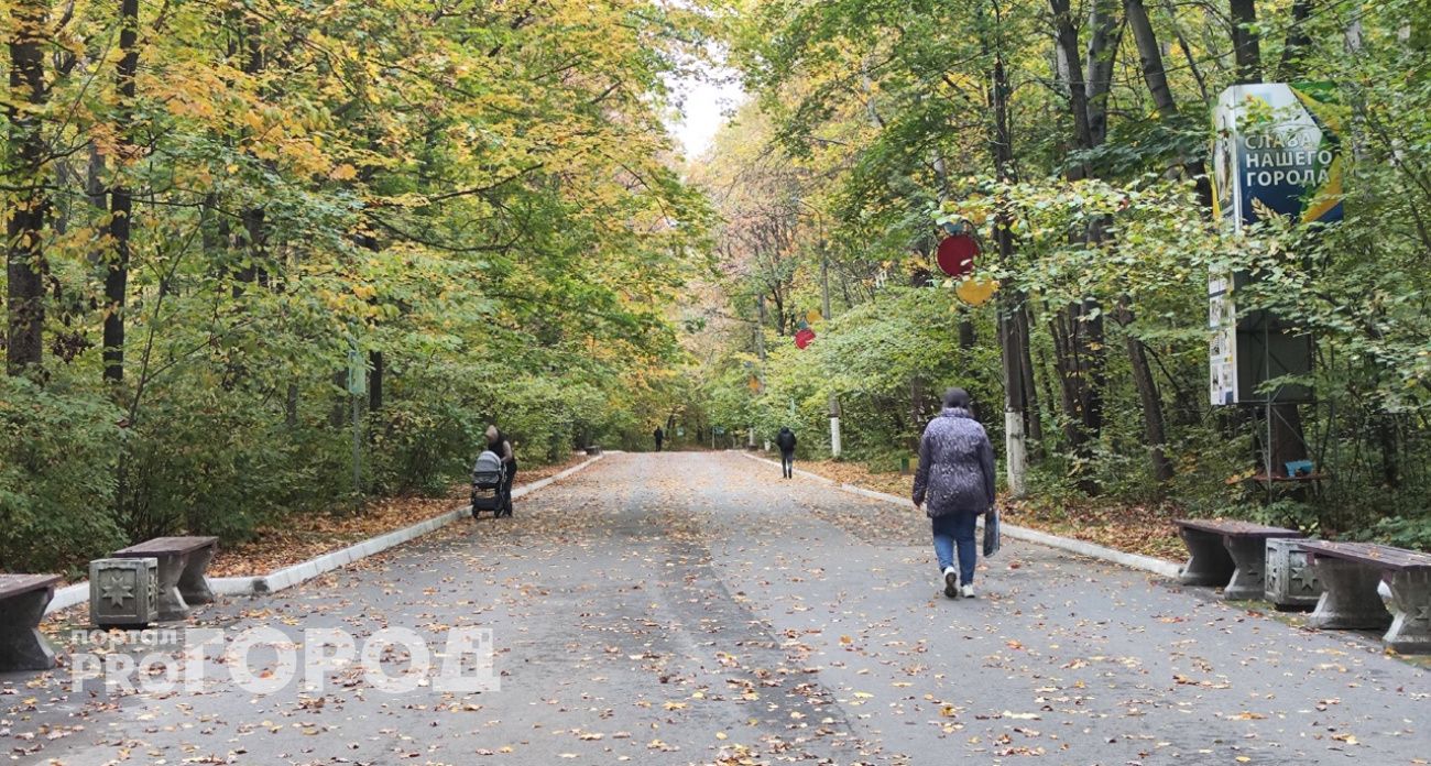 В Марий Эл ожидается первый снег и резкое похолодание